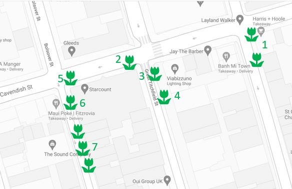 Greening Project for Fitzwest – Please complete consultation survey